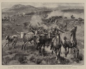Dishing the Boers, britští farmáři v Cape Colony zachraňující jejich dobytek před vypleněním